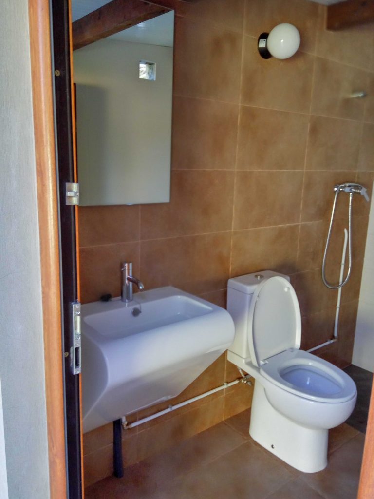 limpieza general baño