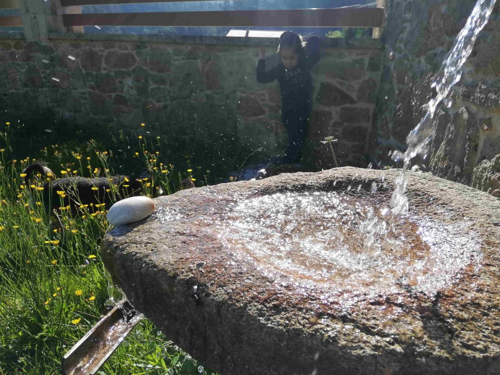 foto de la fuente japonesa en el jardín