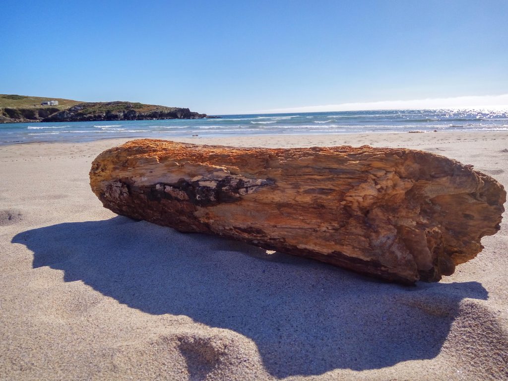 Tronco de madera en la arena de la playa de Lires, caSAnosa