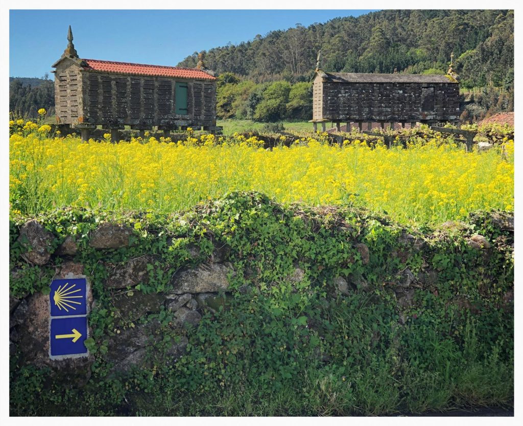 Hórreos de Lires