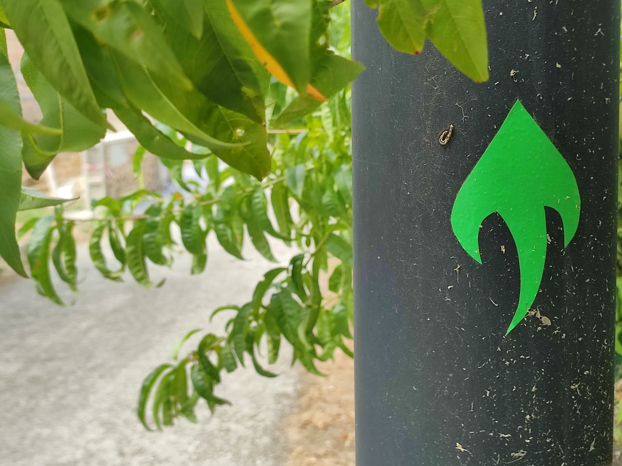 señal en una farola del camiño dos faros