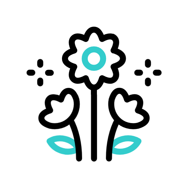 Primavera - caSAnosa