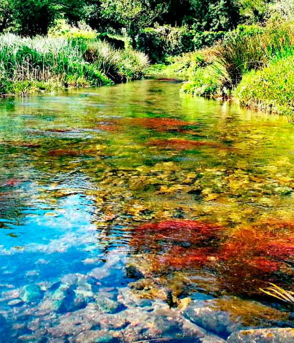 fotos auce del río Lires que pasa al lado de la casanosa