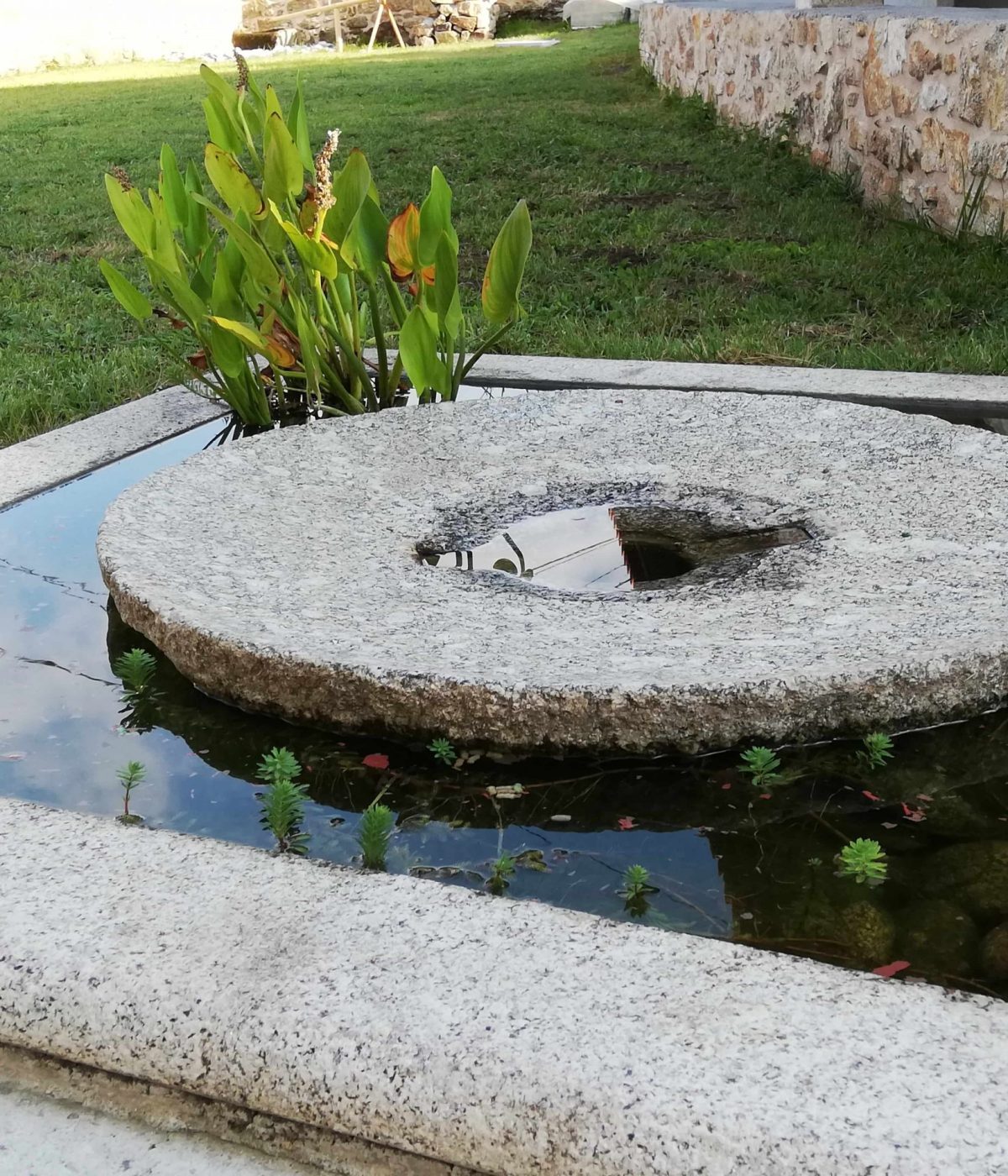 faqs fuente estanque del jardín